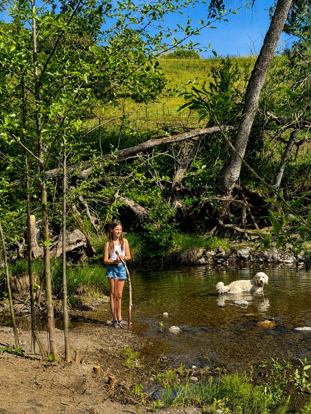 A girl and her dog playing in the creek