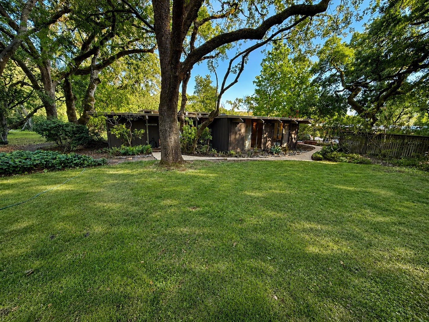 Exterior view of the house under mature oaks